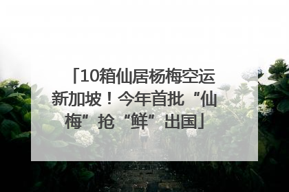 10箱仙居杨梅空运新加坡！今年首批“仙梅”抢“鲜”出国