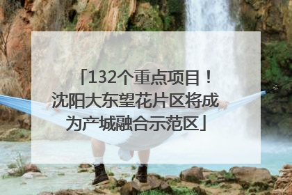 132个重点项目！沈阳大东望花片区将成为产城融合示范区
