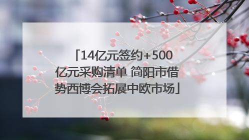14亿元签约+500亿元采购清单 简阳市借势西博会拓展中欧市场