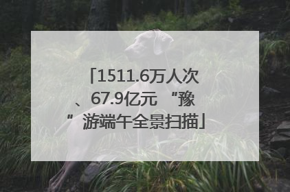 1511.6万人次、67.9亿元 “豫”游端午全景扫描