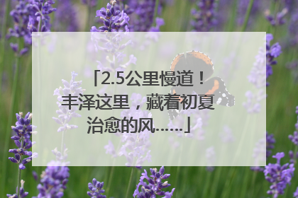 2.5公里慢道！丰泽这里，藏着初夏治愈的风……