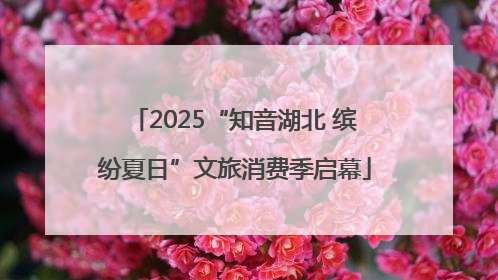 2025“知音湖北 缤纷夏日”文旅消费季启幕