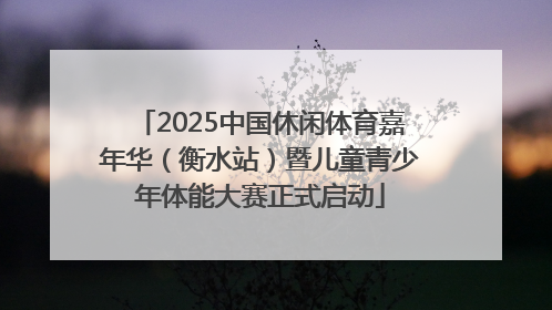 2025中国休闲体育嘉年华（衡水站）暨儿童青少年体能大赛正式启动
