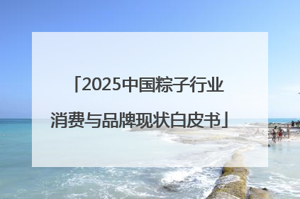2025中国粽子行业消费与品牌现状白皮书