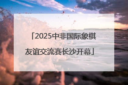 2025中非国际象棋友谊交流赛长沙开幕