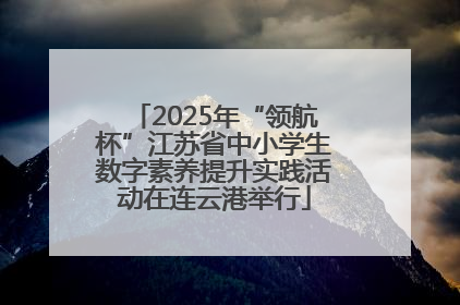 2025年“领航杯”江苏省中小学生数字素养提升实践活动在连云港举行
