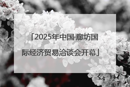 2025年中国·廊坊国际经济贸易洽谈会开幕