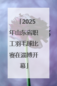 2025年山东省职工羽毛球比赛在淄博开幕