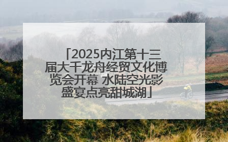 2025内江第十三届大千龙舟经贸文化博览会开幕 水陆空光影盛宴点亮甜城湖