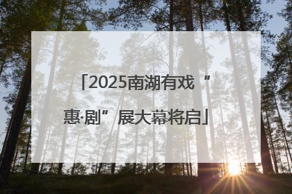 2025南湖有戏“惠·剧”展大幕将启