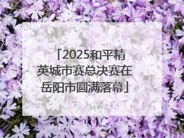 2025和平精英城市赛总决赛在岳阳市圆满落幕
