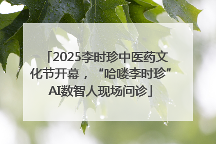 2025李时珍中医药文化节开幕，“哈喽李时珍”AI数智人现场问诊