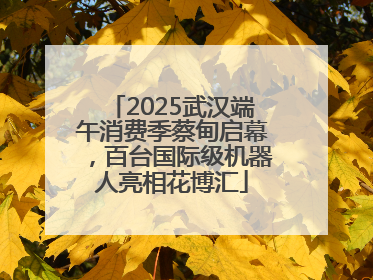 2025武汉端午消费季蔡甸启幕，百台国际级机器人亮相花博汇
