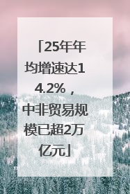 25年年均增速达14.2%，中非贸易规模已超2万亿元