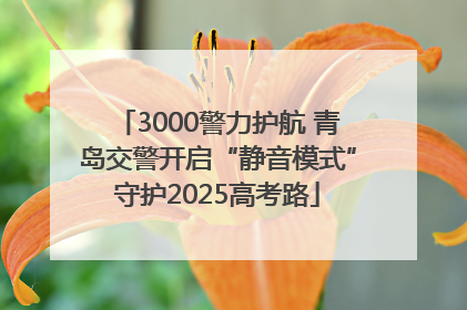 3000警力护航 青岛交警开启“静音模式”守护2025高考路