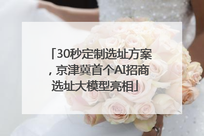 30秒定制选址方案，京津冀首个AI招商选址大模型亮相