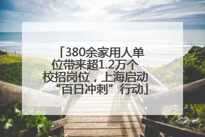 380余家用人单位带来超1.2万个校招岗位，上海启动“百日冲刺”行动