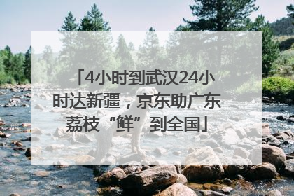 4小时到武汉24小时达新疆，京东助广东荔枝“鲜”到全国