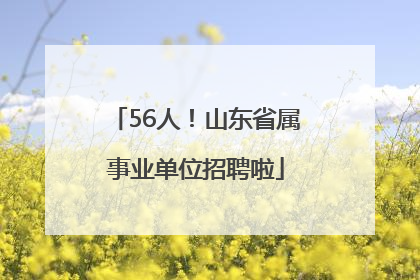 56人！山东省属事业单位招聘啦