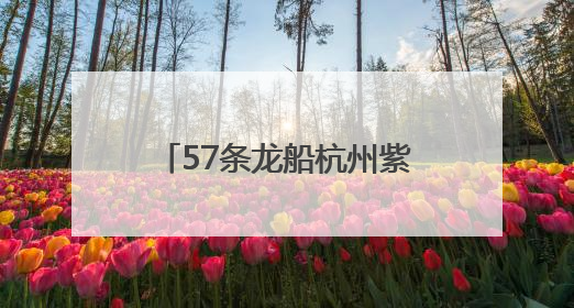 57条龙船杭州紫金港河竞逐 新老杭州人共度端午节