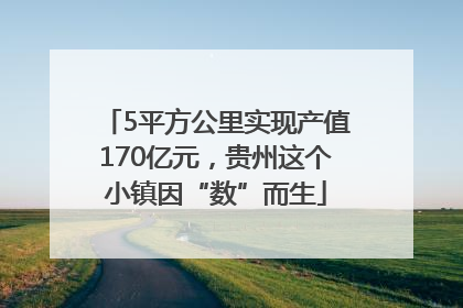 5平方公里实现产值170亿元,贵州这个小镇因“数”而生