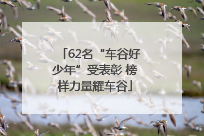 62名“车谷好少年”受表彰 榜样力量耀车谷