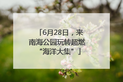 6月28日，来南海公园玩转超燃 “海洋大集”
