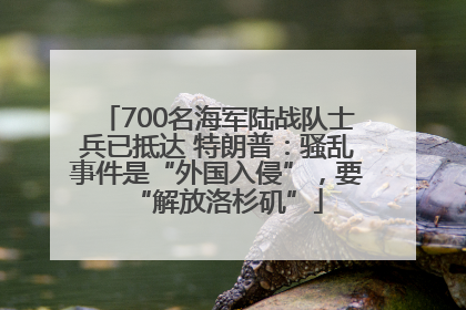 700名海军陆战队士兵已抵达 特朗普：骚乱事件是“外国入侵”，要“解放洛杉矶”