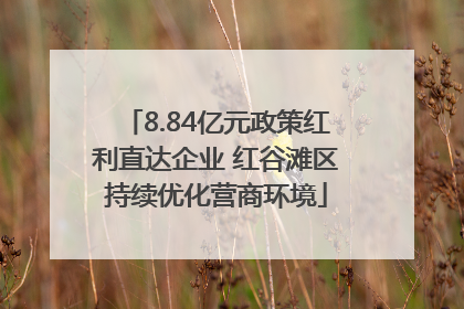 8.84亿元政策红利直达企业 红谷滩区持续优化营商环境