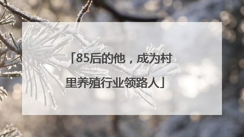 85后的他，成为村里养殖行业领路人
