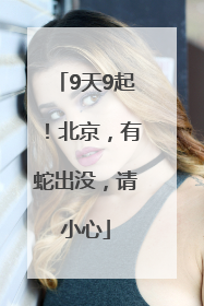 9天9起！北京，有蛇出没，请小心