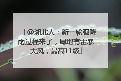 @湖北人：新一轮强降雨过程来了，局地有雷暴大风，最高11级