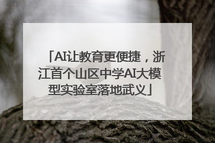 AI让教育更便捷，浙江首个山区中学AI大模型实验室落地武义