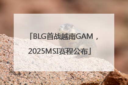 BLG首战越南GAM，2025MSI赛程公布