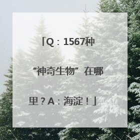 Q：1567种“神奇生物”在哪里？A：海淀！